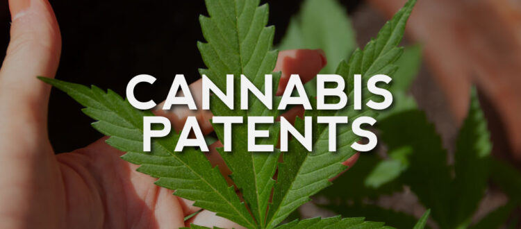 Cannabis Patents